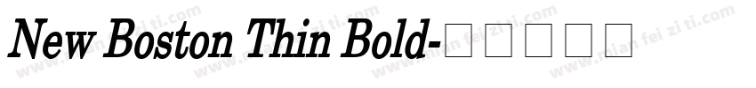 New Boston Thin Bold字体转换